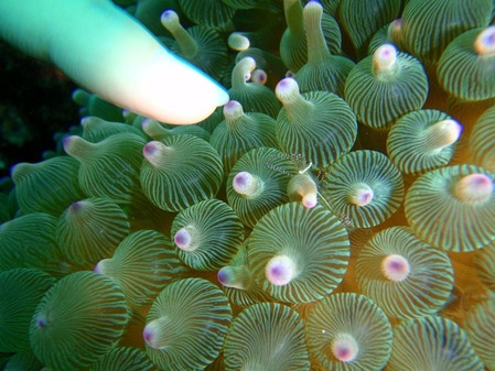 PB080425