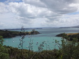 DSC07186