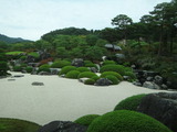 写真 2150