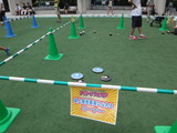 DSC09362