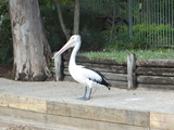 DSC04494