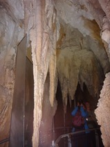 DSC04238