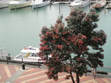 写真 034