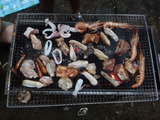 DSC09325
