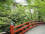 写真 642