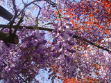 写真 090