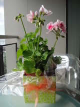 お花