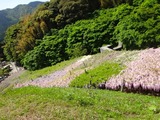 DSC08280