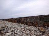 DSC09802