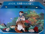 DSC08068