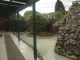 4277f773.JPG