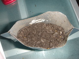 G2