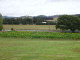 DSC07066