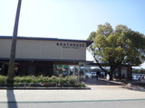DSC07454