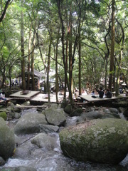 写真 288