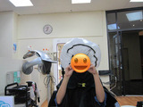 BlogPaint