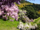 DSC08296