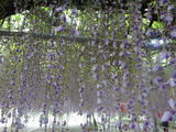 DSC04402