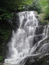 写真 677