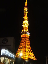 写真 859