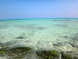 DSC08053