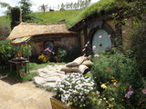DSC07229