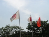 写真 685