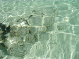写真 029