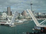写真 351