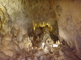 DSC04259