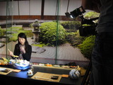 写真 595