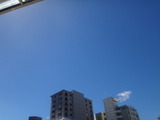 写真 1364