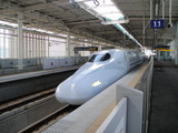 写真 310
