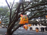 写真 1494