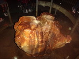 DSC04230