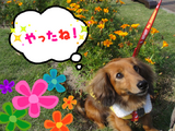 BlogPaint