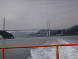 DSC09768