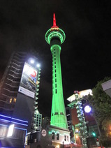 写真 921