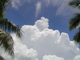 写真 081