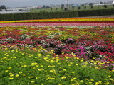 DSC05101