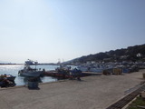 写真 096