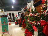 DSC06081