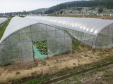 DSC05089
