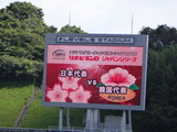 DSC08380