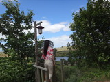 DSC07235