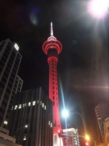 DSC07524
