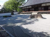 DSC08801