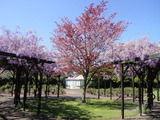 写真 087