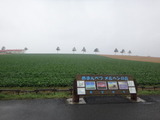 DSC04990