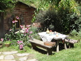 DSC07226